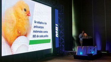 Motivar | Biotay MB1.jpg