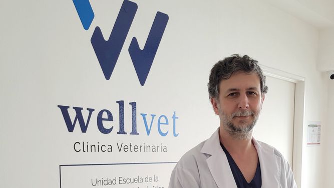 El MV Sergio Ferraris es uno de los socios en Wellvet.