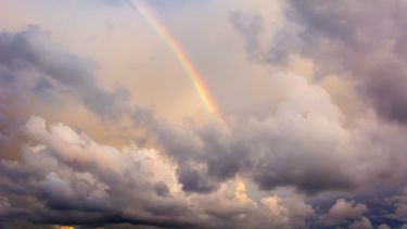 El clima juega un rol estratégico en la industria veterinaria que se viene.
