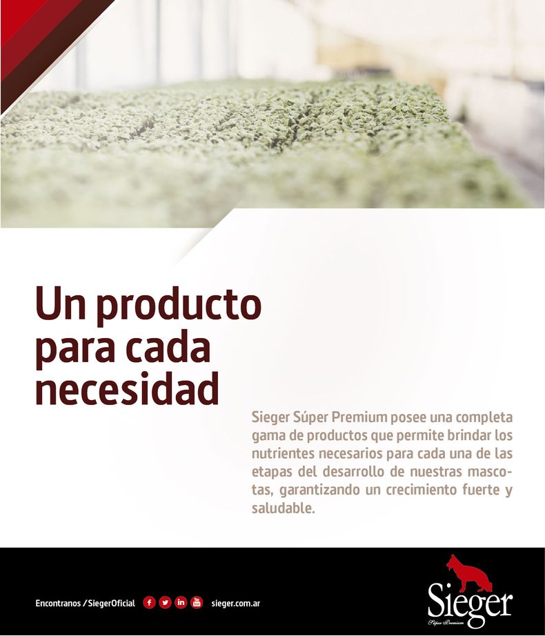 piezas para envio41.jpg