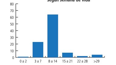 Motivar | Grafico Cafa 2.jpg