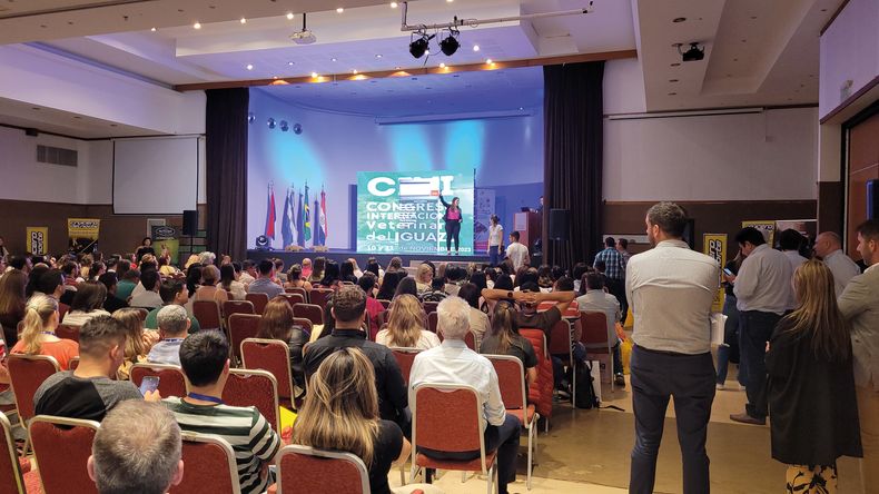 El encuentro contó con distintos momentos de diversión y vinculación entre profesionales.