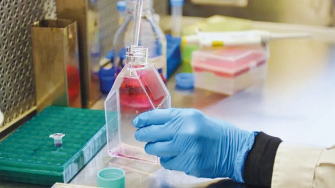 Los investigadores están entusiasmados con los resultados actuales contra la rabia paresiante.