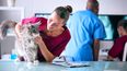 La educación veterinaria es fundamental para promover la vacunación felina y asegurar el bienestar de los gatos.