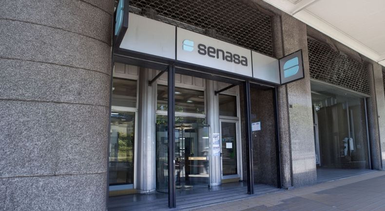 Senasa lanzó una batería de medidas para agilizar los tiempos de gestión.