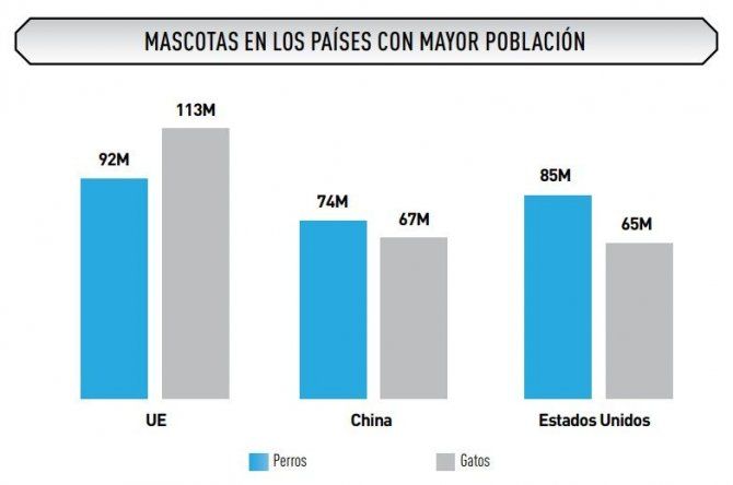 Estadísticas internacionales.