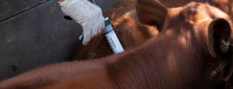 CDV respondió punto por punto las acusaciones de Tecnovax.