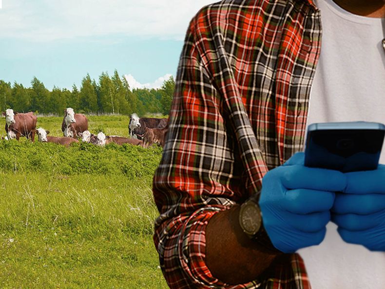 4 apps para veterinarios del campo.jpg