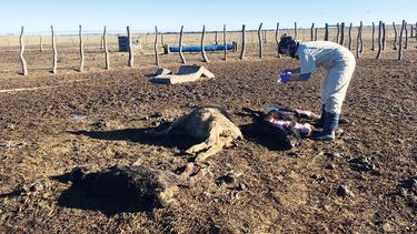 Motivar | Diab 2.jpg