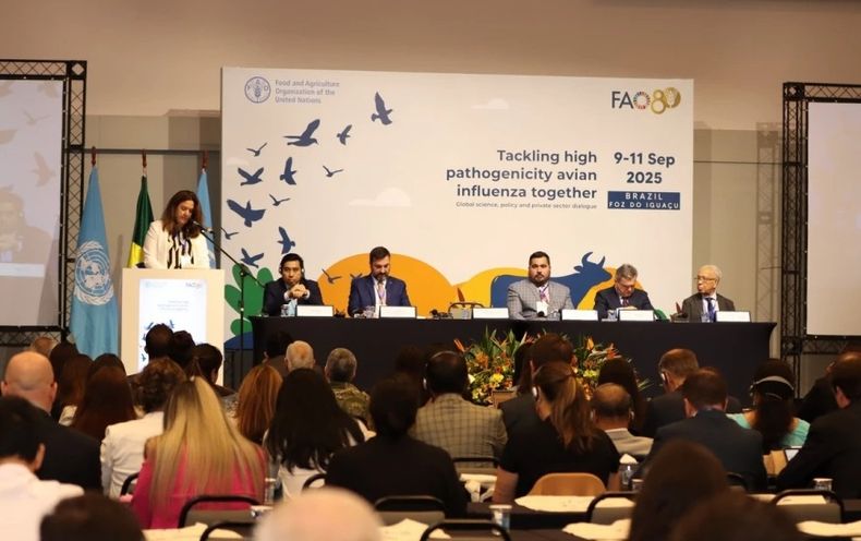 Brasil fue sede de un debate clave sobre influenza aviar.