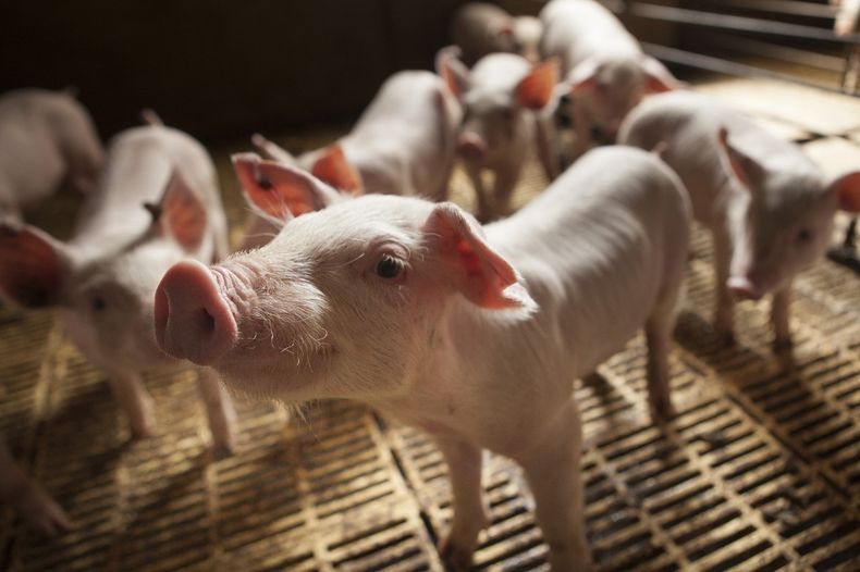 img 20200911 wa0028.jpg