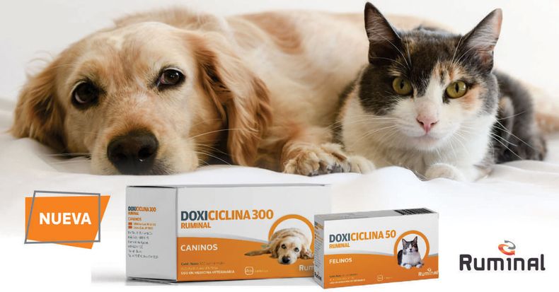 IMAGEN PRINCIPAL NOTA PATROCINADORA 1200 x 628 px 2.jpg