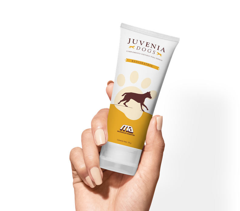 Richmond Vet Pharma tomó la representación exclusiva de Juvenia Dogs en Argentina.&nbsp;