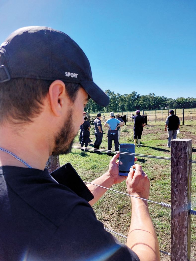 Es crucial el seguimiento de un veterinario en el plan sanitario.