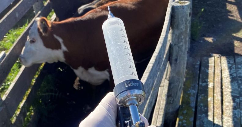 Imagen Nota Patrocinada Villanueva.jpg