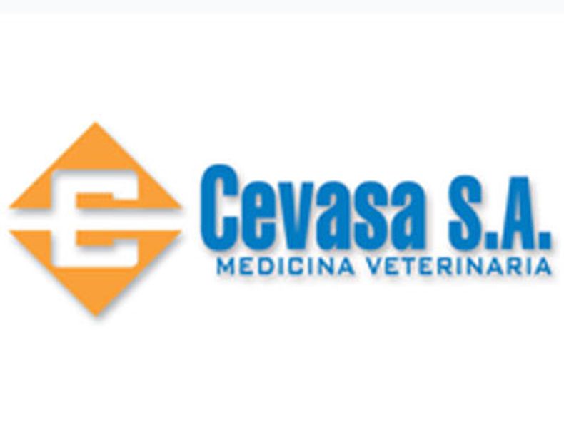Cevasa 1.jpg