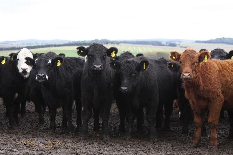 img 20210719 wa0042.jpg