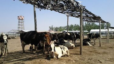 Motivar | Tambo e1576609391218.jpg