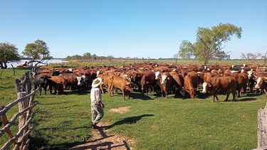 Bienestar Animal a la vanguardia