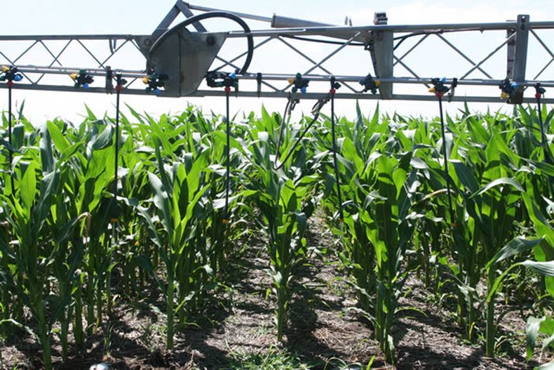 En los últimos 6 años, el uso de fertilizantes superó las 4.000.000 toneladas.