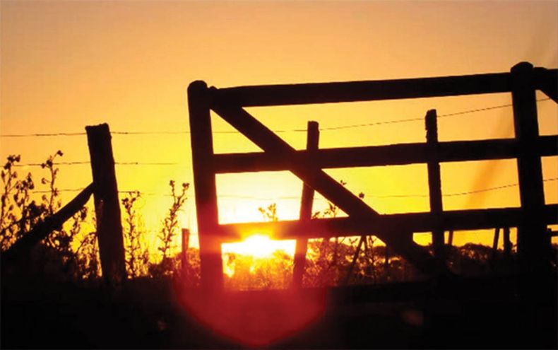 campo amanecer.jpg