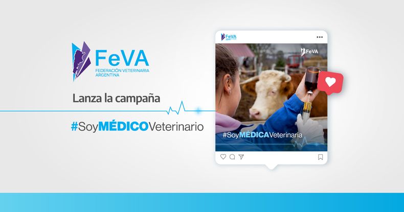 FEVA_SMV_NotaPatrocinada_MOTIVAR 1.jpg