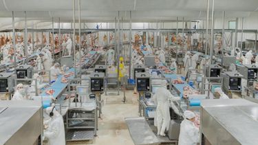 Se renovaron los criterios de bienestar animal dentro del organismo sanitario.