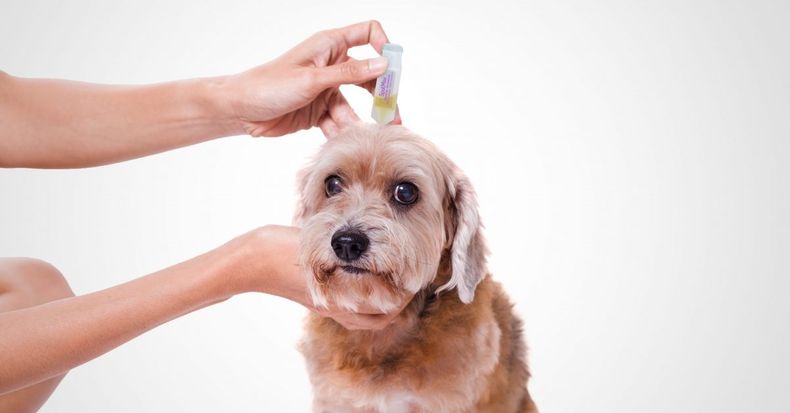 SpotMax Aplicación e1572628600940.jpg