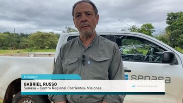 Gabriel Russo, referente del Centro Regional Corrientes-Misiones del Senasa, y del Programa de Rabia del organismo.