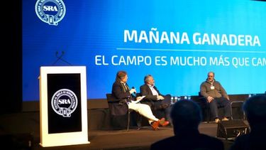 Especialistas en el mercado de carnes disertaron en el marco de la Expo Rural 2024.