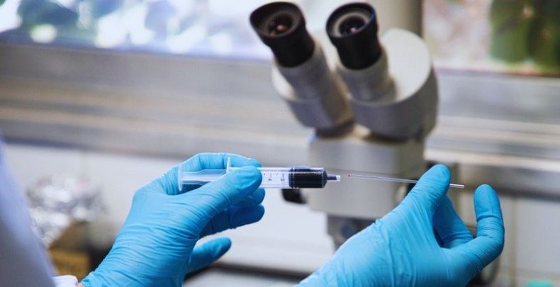 Los veterinarios podrán realizar el test de diagnóstico de tristeza bovina sin necesidad de equipamiento sofisticado.