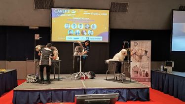 La línea de dermocosmética animal, Dermapet, dijo presente en Expo Veterinarias 2024.&nbsp;