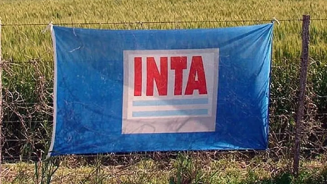 INTA. En nombre de eficientizar el gasto público, peligra una pieza clave del entramado productivo nacional. 