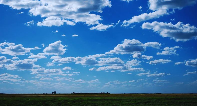 INTA brindó pronósticos del clima y recomendaciones para la toma de decisiones.