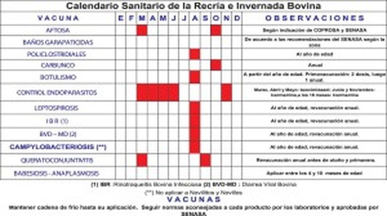 Cuadro Inta 300x168.jpg