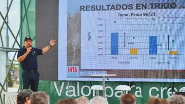 El riego es una herramienta estratégica para mejorar la productividad de los cultivos.