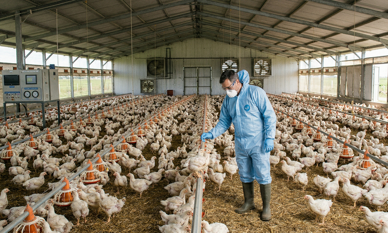 La bioseguridad es clave para proteger a los animales y prevenir zoonosis.