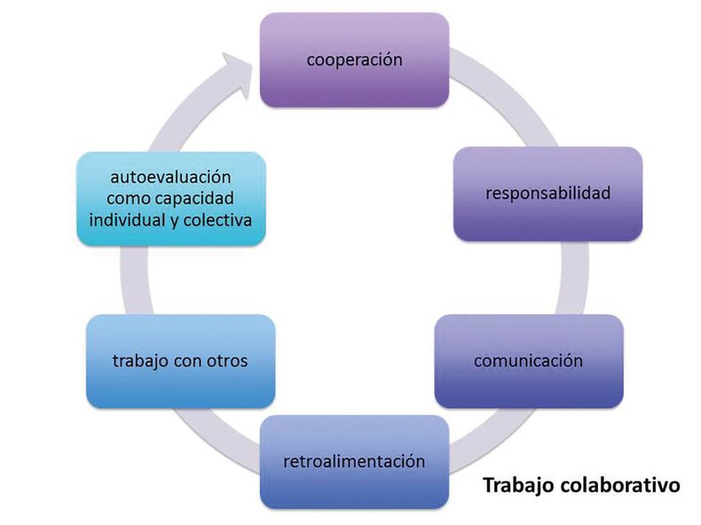 DelfinoTrabajo colaborativo.jpg