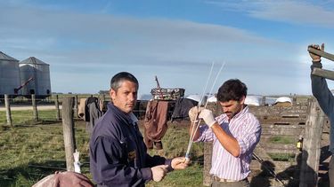 Motivar | Rojas Panelo 1.jpg