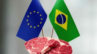 Brasil continúa negociando con la Unión Europea para revertir la exclusión.