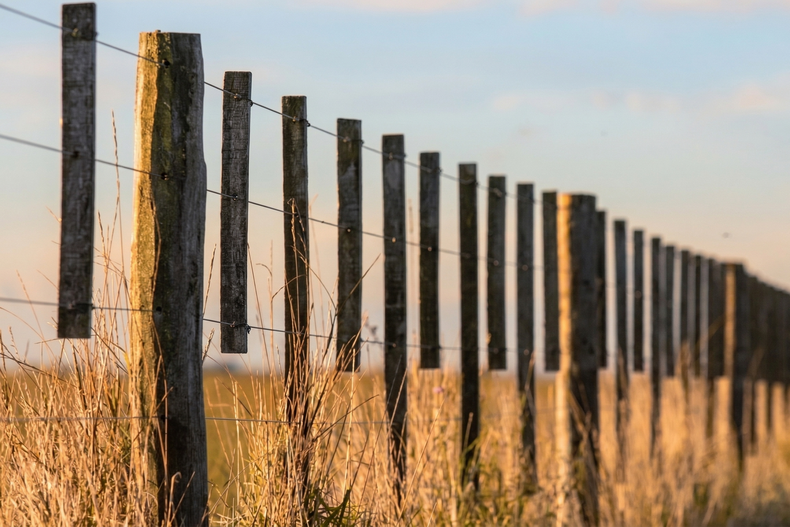 El INTA Bordenave actualiza el costo del alambrado rural en 2026.