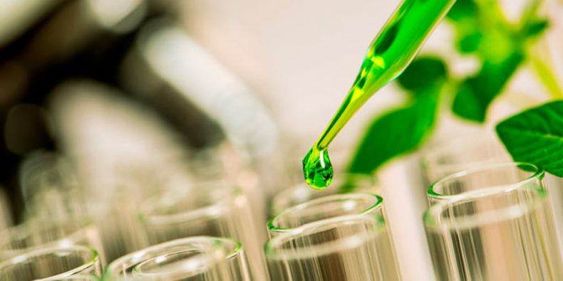 Empresas de nutrición animal están invirtiendo en formulaciones más estables y específicas.