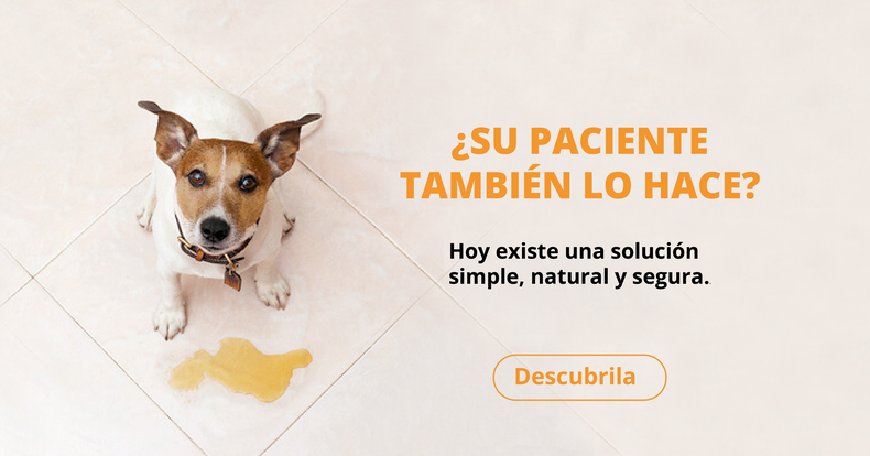 nota patrocinada_Nota Patrocinada.png