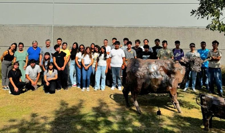 Vetanco acompaña a los jóvenes en el desarrollo de habilidades clave para trabajar.