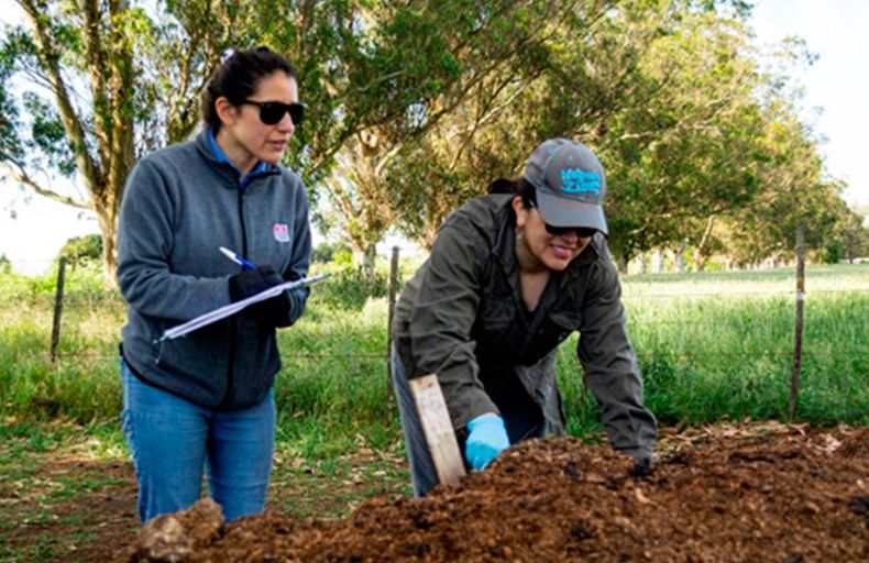 Riesgos ambientales en la avicultura por uso de compost contaminado.
