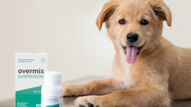 OVER presenta una nueva solución antiparasitaria para asegurar la salud de los cachorros.