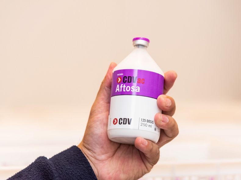 cdv aftosa uruguay.jpg