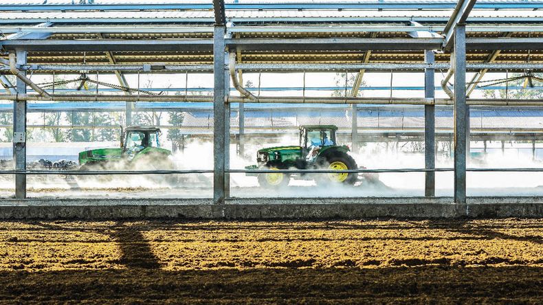 IMG 20170807 WA0008 1.jpg