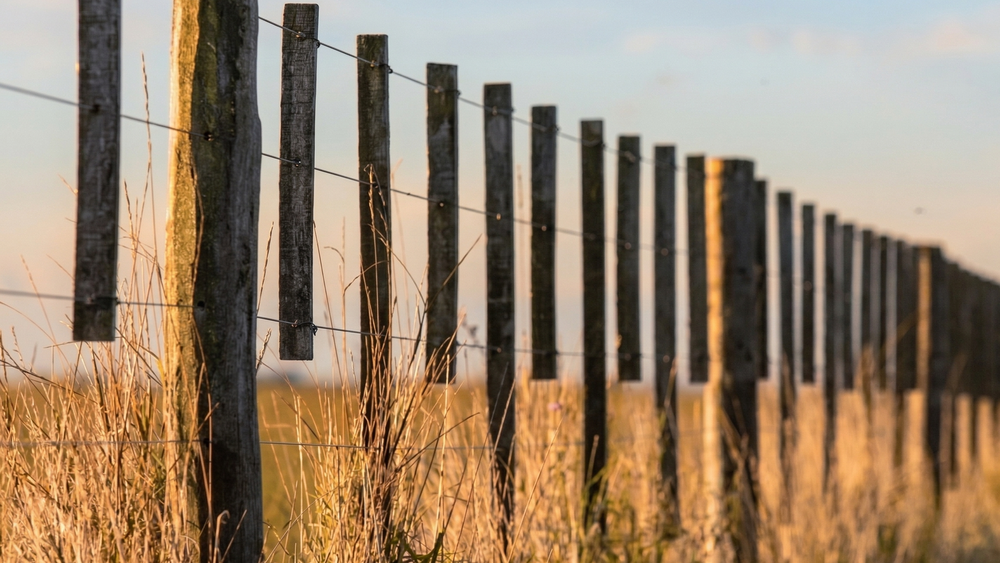 El INTA Bordenave actualiza el costo del alambrado rural en 2026. El INTA Bordenave actualiza el costo del alambrado rural en 2026.