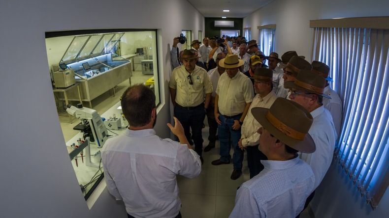 El ICBA cuenta con un laboratorio de colecta y procesamiento de semen bovino de última generación.